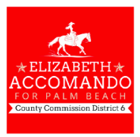 Elizabeth Accomando Campaign